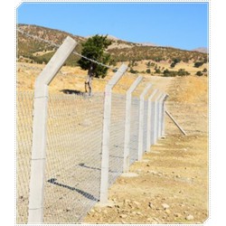 Gönyeli Bağ Direği